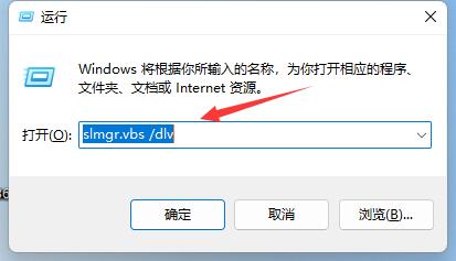 win11激活信息查詢教程
