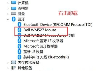 Windows10卸載隱藏藍(lán)牙設(shè)備步驟介紹