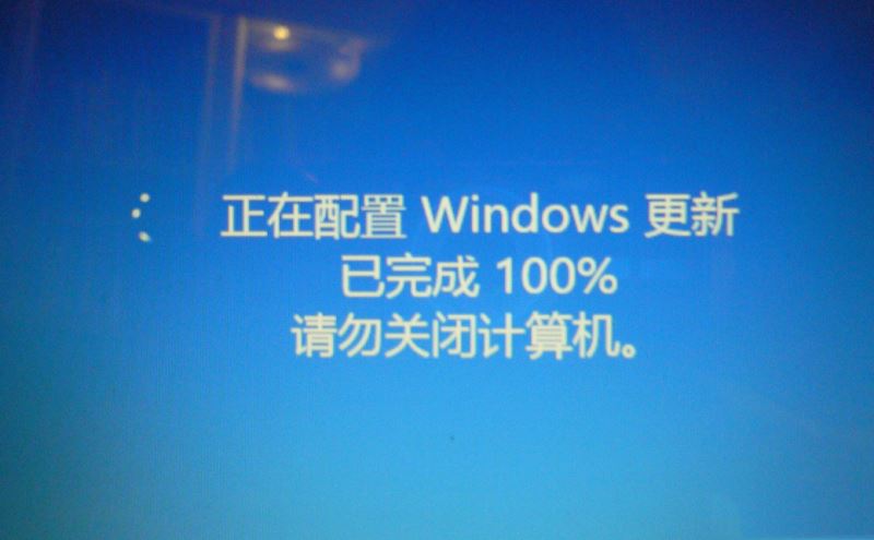 Windows11關(guān)閉自動更新配置方法介紹