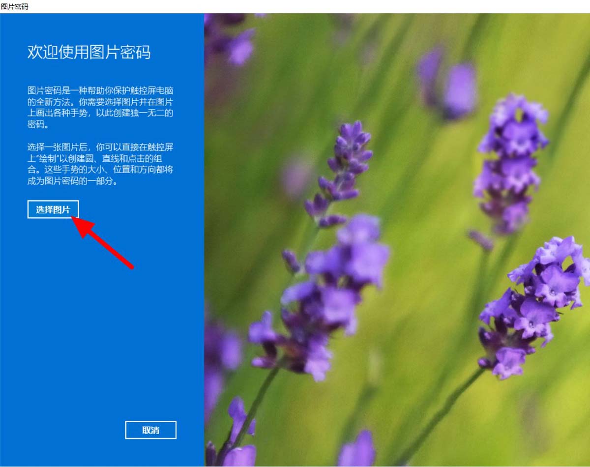 Windows11設置圖片密碼步驟介紹