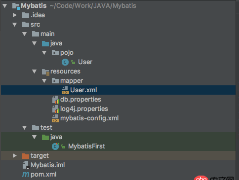JAVA mybatis pojo.xml 配置問題