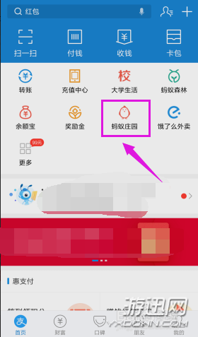 螞蟻莊園怎么揍偷吃的小雞？支付寶螞蟻莊園胖揍功能詳解