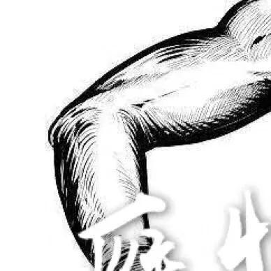 抖音雁怕離群人怕掉隊(duì)圖片在哪找_高清無水印分享