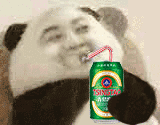 抖音熊貓人喝飲料GIF表情包分享_熊貓人喝飲料動態表情大全