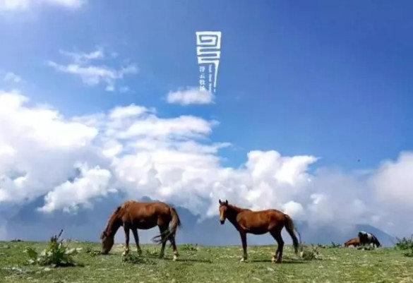 抖音網紅酒店有哪些_抖音上火爆的酒店分享