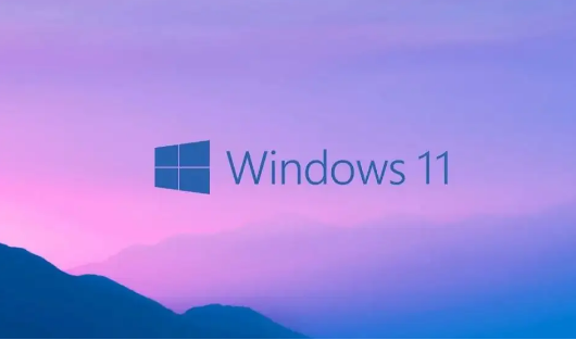 Vm虛擬機(jī)無法安裝Win11系統(tǒng)怎么辦?Vm虛擬機(jī)安裝Win11圖文教程