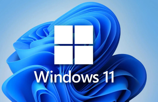 Win11遠程連接發現沒有聲音如何處理