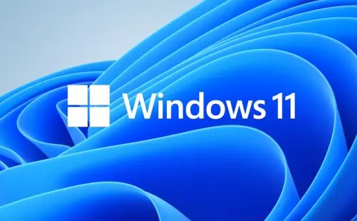 Win11系統(tǒng)dns異常無(wú)法連接至網(wǎng)絡(luò)如何處理