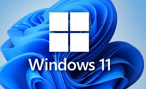 win11系統(tǒng)亮度無法變亮怎么回事