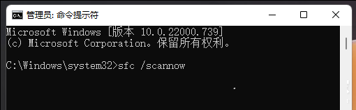 Win11怎么處理更新出錯