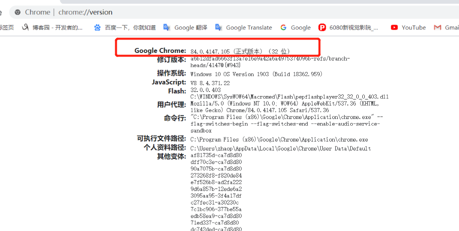 搭建 springboot selenium 網頁文件轉圖片環境的詳細教程