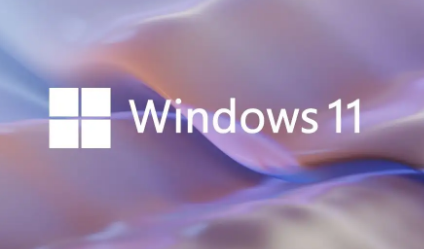 為什么WIN11 WSA無法啟動