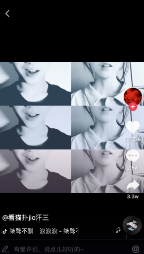 抖音白了佛冷是什么歌 抖音白了佛冷歌曲介紹