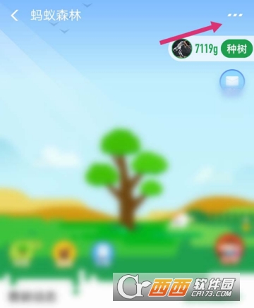 支付寶怎么開啟能量可收取提醒 開啟收取提醒方法