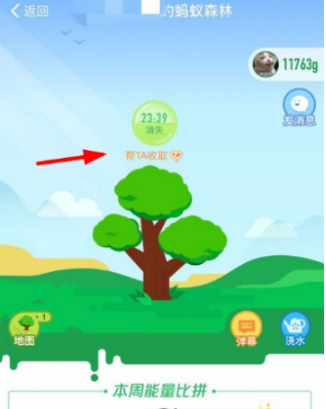 支付寶螞蟻森林怎么給好友澆水？給好友澆水方法分享