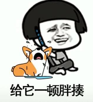 抖音我在那小區(qū)遛狗是什么歌？