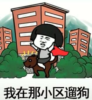 抖音我在那小區(qū)遛狗是什么歌？