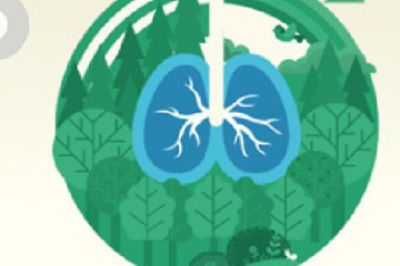 支付寶螞蟻森林怎么玩 最全種樹攻略盡在這里