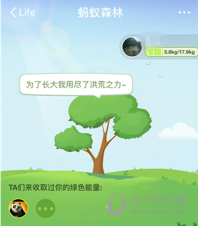 支付寶螞蟻森林怎么收取別人的能量 教你偷好友能量