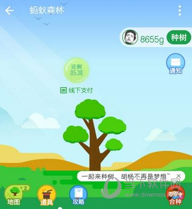 支付寶螞蟻森林怎么屏蔽好友 防止別人偷能量方法