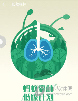 支付寶螞蟻森林怎么澆水 給好友澆水方法