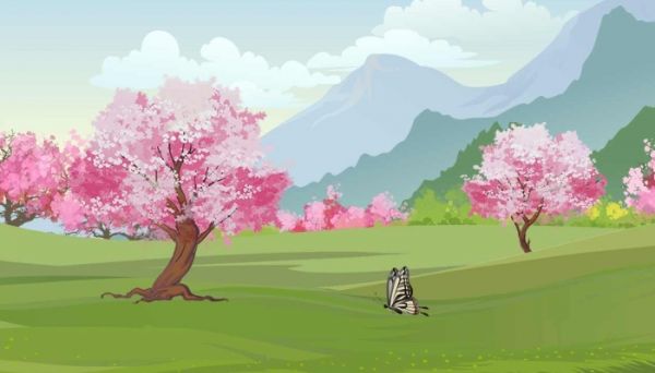 梅花開了怎么發(fā)朋友圈 梅花開了發(fā)朋友圈