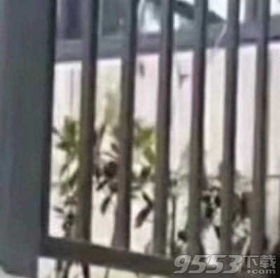 抖音奧特曼穿貂戴墨鏡九宮格怎么制作 奧特曼穿貂戴墨鏡九宮格制作方法