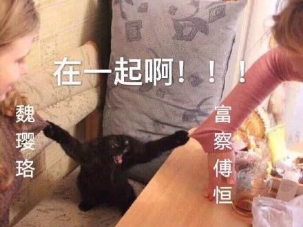 抖音延禧攻略爾晴表情包【無水印】