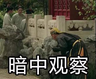 抖音延禧攻略爾晴表情包【無水印】