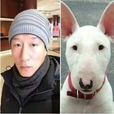 抖音馬思純的微笑什么梗?評論哈哈出現馬思純的微笑什么意思?