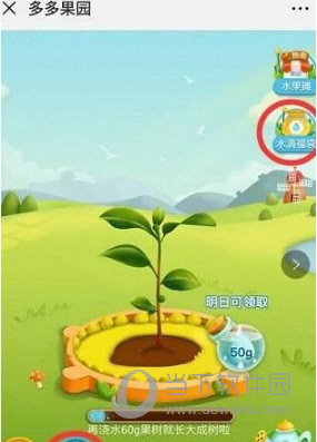 拼多多果園為什么看不到好友 不顯示好友原因