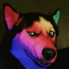 抖音超火閃瞎眼GIF表情包全套無水印分享