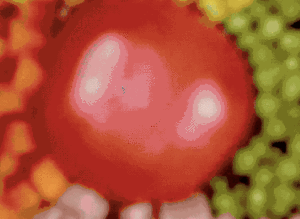 抖音網紅飯怎么做 抖音網紅飯制作方法介紹