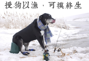 【抖音摸魚表情包大全】摸魚高清無水印表情包分享