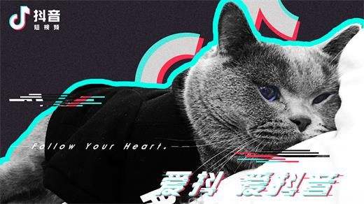 抖音星圖平臺已經正式推出 抖音星圖平臺有什么用