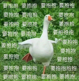 【抖音網(wǎng)紅比心鴨子表情包】比心鴨子高清無水印圖片分享