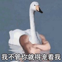 【抖音網(wǎng)紅比心鴨子表情包】比心鴨子高清無水印圖片分享