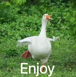 【抖音網(wǎng)紅比心鴨子表情包】比心鴨子高清無水印圖片分享