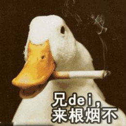 【抖音網(wǎng)紅比心鴨子表情包】比心鴨子高清無水印圖片分享