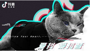 抖音六眼飛魚出自哪里?抖音六眼飛魚來(lái)源出處介紹