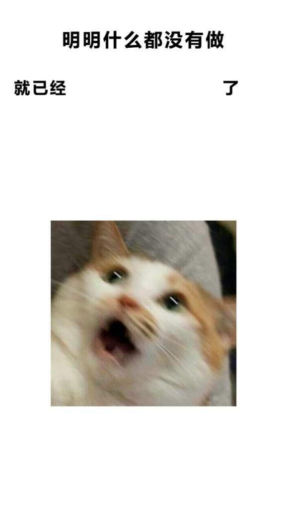 明明什么都沒(méi)做抖音圖片在哪下載？抖音明明什么都沒(méi)做壁紙大全