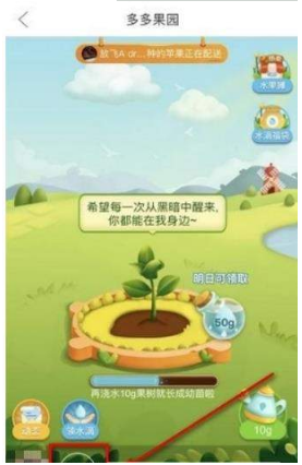 多多果園要怎么添加好友?多多果園添加微信好友教程分享