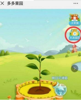 拼多多的多多果園水果郵寄要錢嗎?多多果園水果免費郵寄嗎?