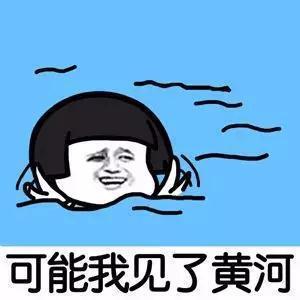 【抖音可能我撞了南墻才會回頭吧GIF表情包】蘑菇頭高清無水印圖片