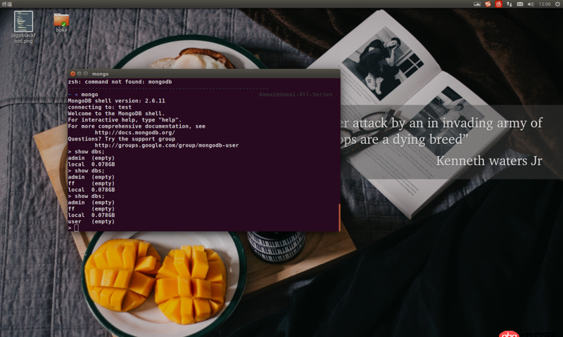 node.js - 如何在webstorm中啟動(dòng)并連接mongodb數(shù)據(jù)庫(kù)呢？