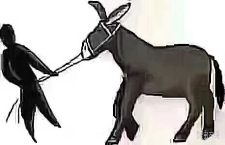 朋友圈驢為什么這么犟搞笑圖分享【高清無(wú)水印】