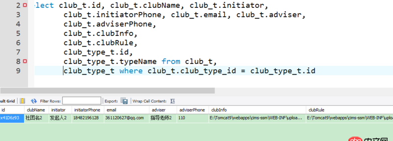 java - Mybatis查詢數據庫時出現查詢getInt()的錯誤