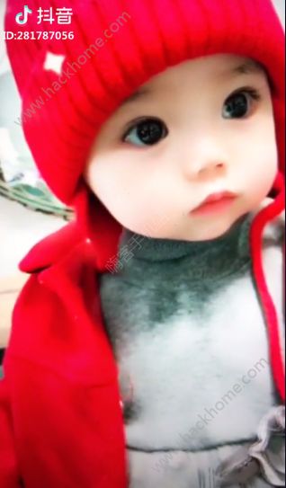 我是你的北鼻北鼻哈尼哈尼是什么歌？抖音哈尼哈尼是什么歌？