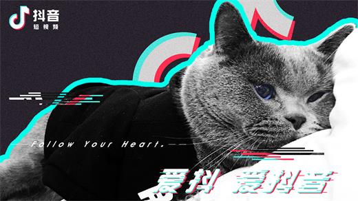 抖音我希望在你的愛情里找一個溫暖的角落是什么歌 歌曲分享