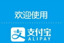 支付寶怎么購買家務(wù)無憂險?購買家務(wù)無憂險方法介紹